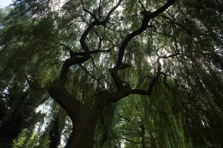 Nicolaas Clopperstraat, Eindhoven, The Netherlands, August 2014
