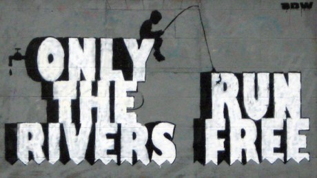 Portobello, Ireland, March 2015 © Tom O' Connor 2015