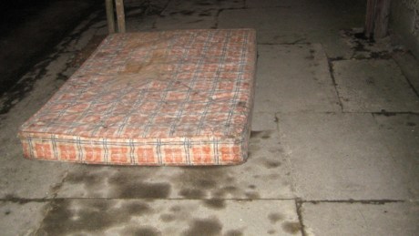 Cabra, Ireland, February 2015 © Tom O' Connor 2015