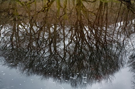 Lough Dan, Wicklow, Ireland, March 2015 © Tom O' Connor 2015