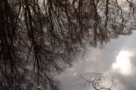 Lough Dan, Wicklow, Ireland, March 2015 © Tom O' Connor 2015
