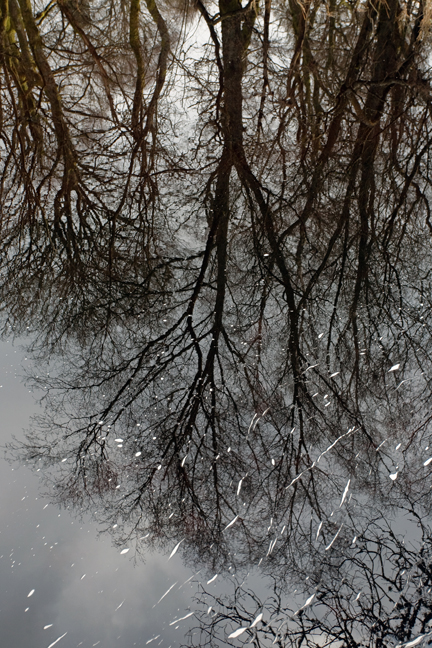 Lough Dan, Wicklow, Ireland, March 2015 © Tom O' Connor 2015