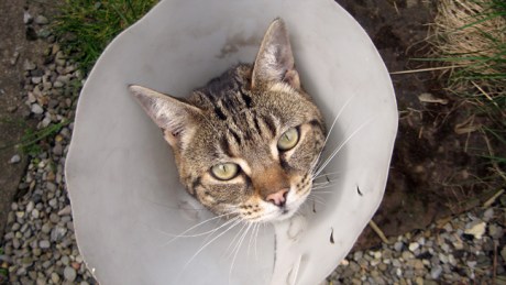 Alexandra Terrace, Dublin, Ireland, April 2015