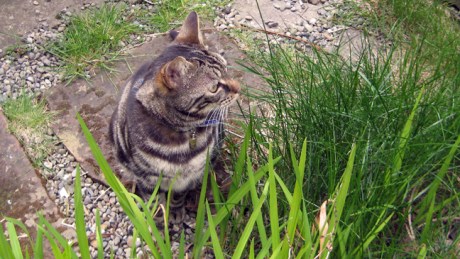 Alexandra Terrace, Dublin, Ireland, April 2015