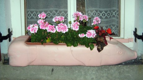 Tallinn, Estonia, July 2015 © Tom O'Connor 2015