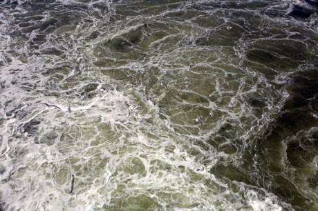 Suomenlahti, Helsinki, Finland, July 2015