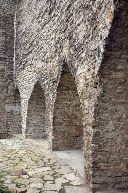 Danish King's Garden,Tallinn, Estonia, July 2015