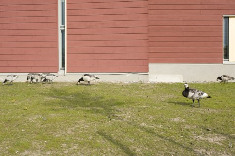 Suomenlinna, Helsinki, Finland, July 2015