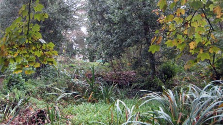 Redmond Park, Wexford, Ireland, October 2015