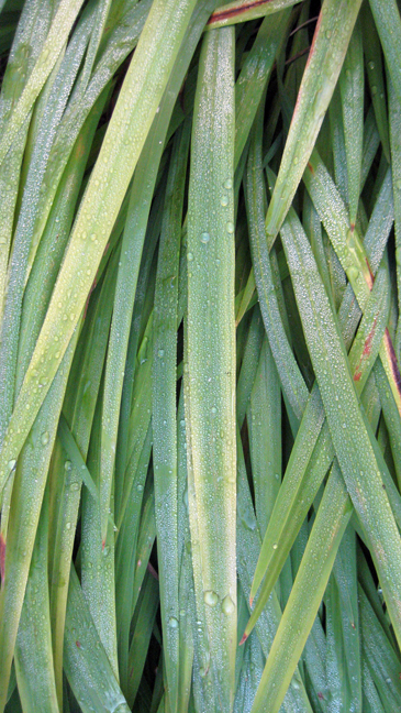 Alexandra Terrace, Dublin, Ireland, November 2015
