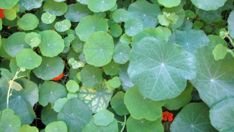 Alexandra Terrace, Dublin, Ireland, November 2015