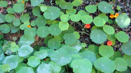 Alexandra Terrace, Dublin, Ireland, November 2015