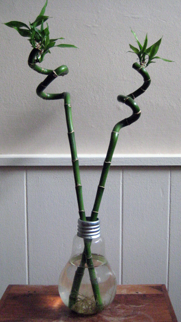 Alexandra Terrace, Dublin, Ireland, November 2015