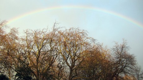Newman House, Dublin, Ireland, February 2016 © Tom O' Connor 2016
