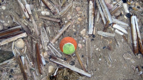 Malahide,Dublin, Ireland, February 2016 © Tom O' Connor 2016