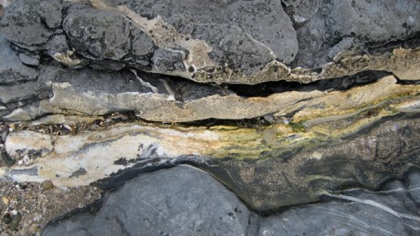 Malahide,Dublin, Ireland, February 2016 © Tom O' Connor 2016