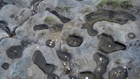 Malahide,Dublin, Ireland, February 2016 © Tom O' Connor 2016