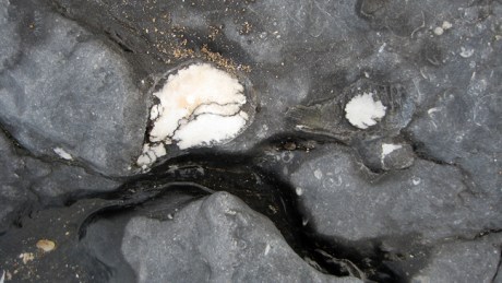 Malahide,Dublin, Ireland, February 2016 © Tom O' Connor 2016