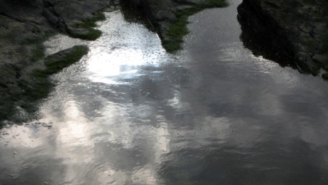 Malahide,Dublin, Ireland, February 2016 © Tom O' Connor 2016