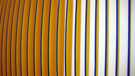 Belfield,Dublin, Ireland, March 2016 © Tom O' Connor 2016