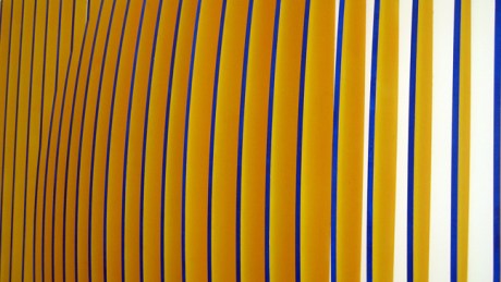 Belfield,Dublin, Ireland, March 2016 © Tom O' Connor 2016