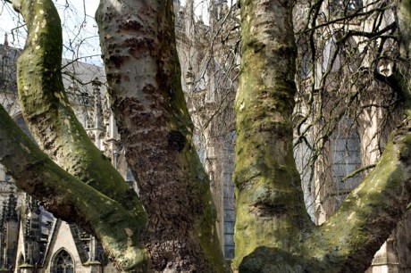 Sint-Janskathedraal, 's--Hertogenbosch, The Netherlands, March 2016