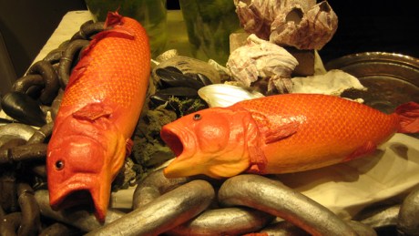 Amsterdam, Netherlands, March 2016 © Tom O' Connor 2016