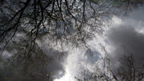 Grand Canal Dublin, Ireland, April 2016 © Tom O’ Connor 2016