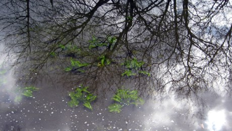 Grand Canal Dublin, Ireland, April 2016 © Tom O’ Connor 2016
