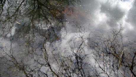Grand Canal Dublin, Ireland, April 2016 © Tom O’ Connor 2016