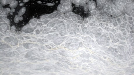 Grand Canal Dublin, Ireland, April 2016 © Tom O’ Connor 2016