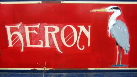 Kildare, Ireland, April 2017