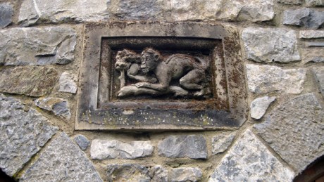 Kildare, Ireland, April 2017