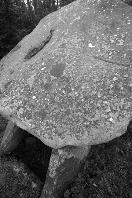 Brennanstown Portal Tomb, Dublin, Ireland 2017