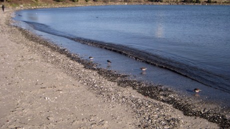 Dublin, Ireland, February 2018 © Tom O’ Connor 2018