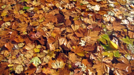 Dublin, Ireland, October 2018