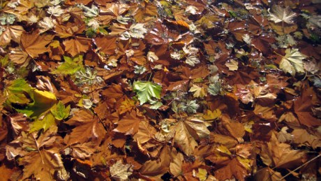 Dublin, Ireland, October 2018