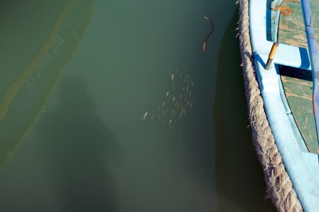 Marsaxlokk Bay, Malta, July 2018