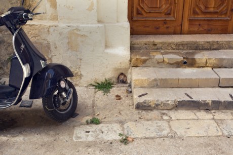 Triq San Paul, Valletta, Malta, July 2018