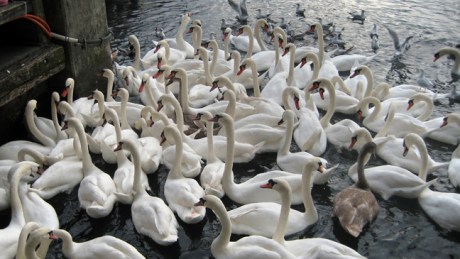 Zurich, Switzerland, November 2018