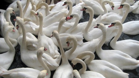 Zurich, Switzerland, November 2018 © Tom O’ Connor 2018