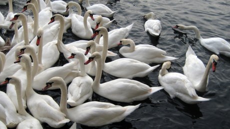 Zurich, Switzerland, November 2018