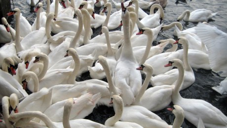 Zurich, Switzerland, November 2018