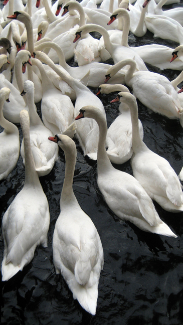 Zurich, Switzerland, November 2018