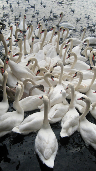 Zurich, Switzerland, November 2018