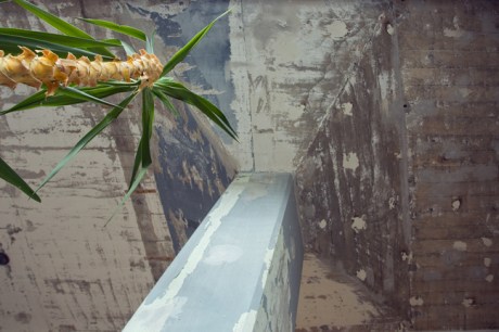 Schlotterbeck Areal, Badenerstrasse, Zürich, Switzerland, November 2018