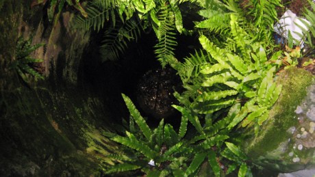 Zurich, Switzerland, November 2018