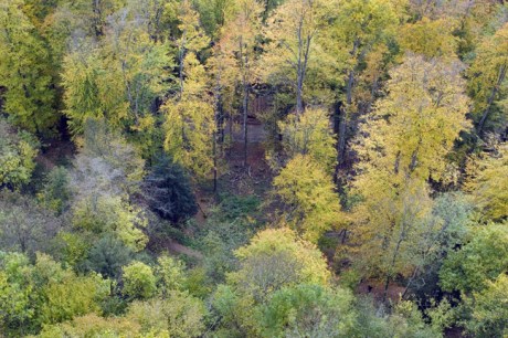 Üetliberg, Zürich, Switzerland, November 2018