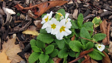 Dublin, Ireland, November 2018