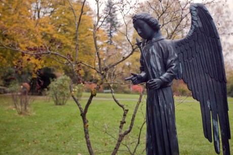 Friedhof Fluntern, Zürich, Switzerland, November 2018